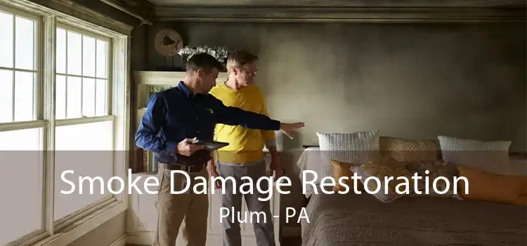 Smoke Damage Restoration Plum - PA