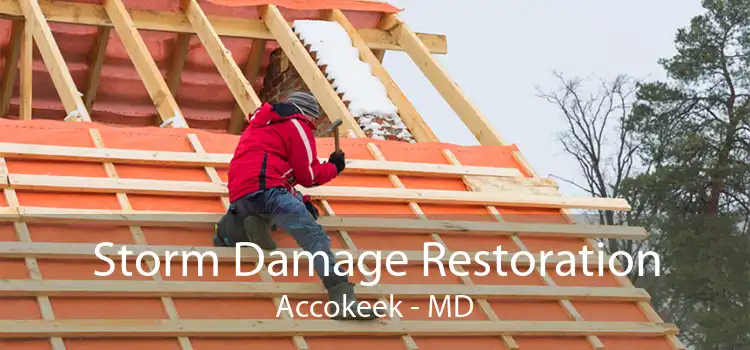 Storm Damage Restoration Accokeek - MD