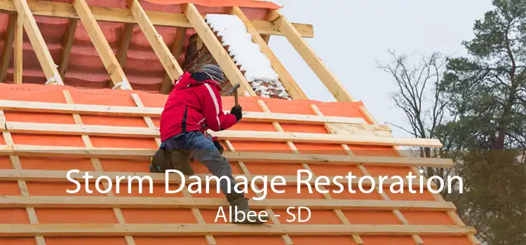 Storm Damage Restoration Albee - SD