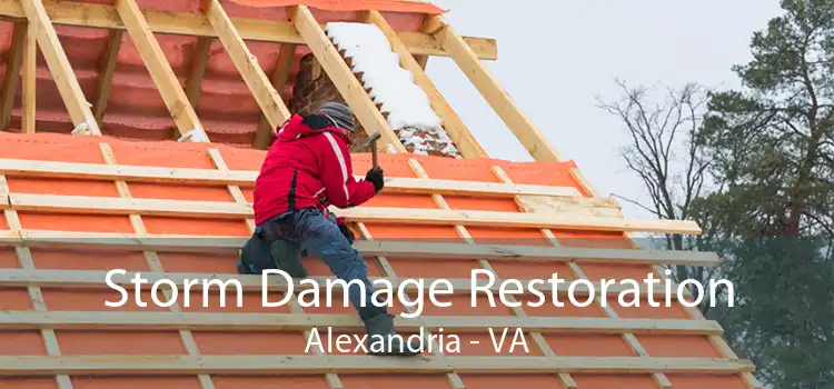 Storm Damage Restoration Alexandria - VA
