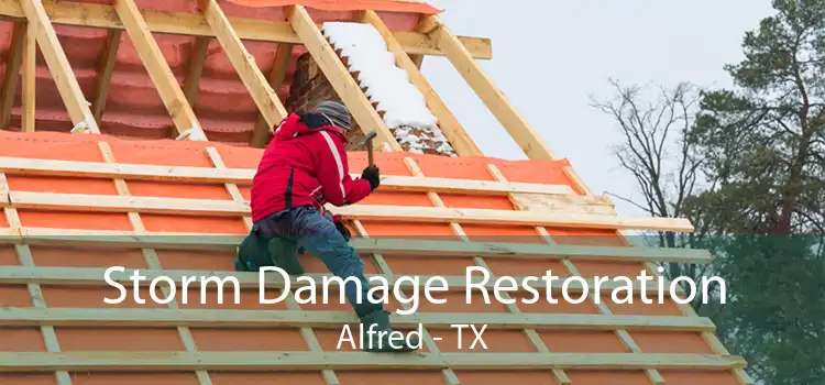 Storm Damage Restoration Alfred - TX