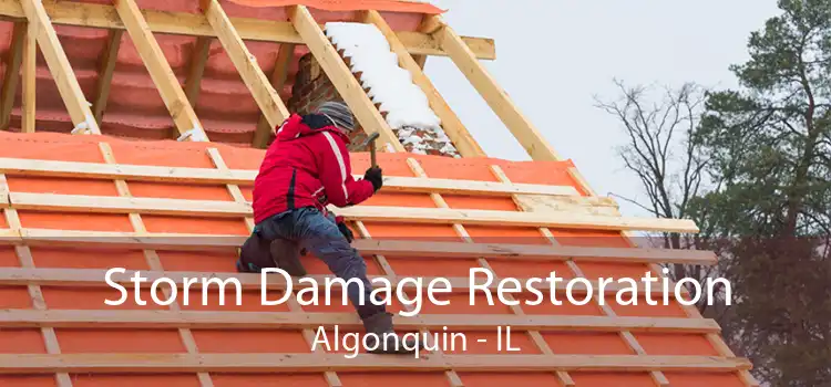 Storm Damage Restoration Algonquin - IL