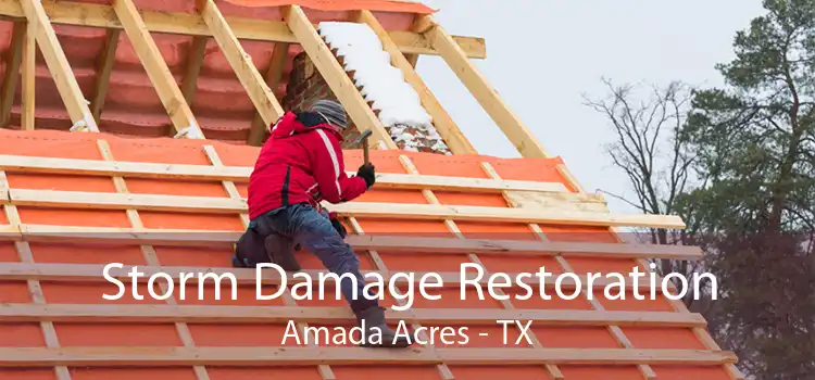 Storm Damage Restoration Amada Acres - TX