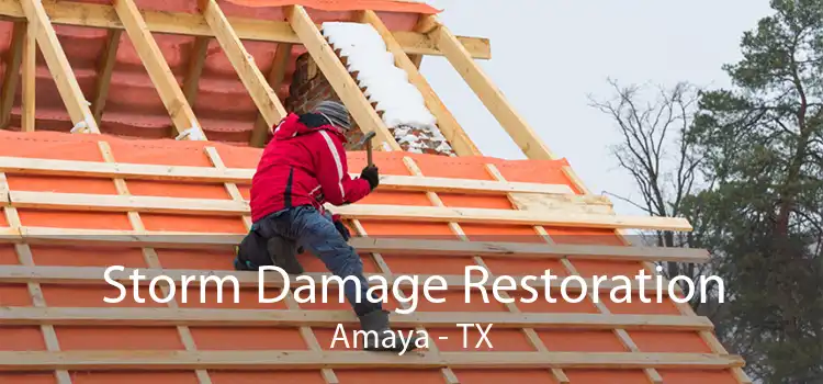 Storm Damage Restoration Amaya - TX