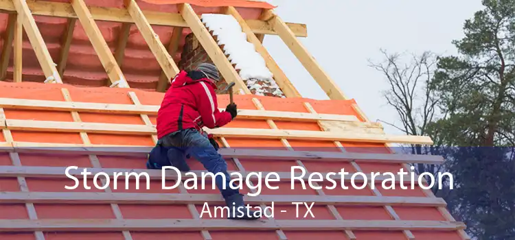 Storm Damage Restoration Amistad - TX