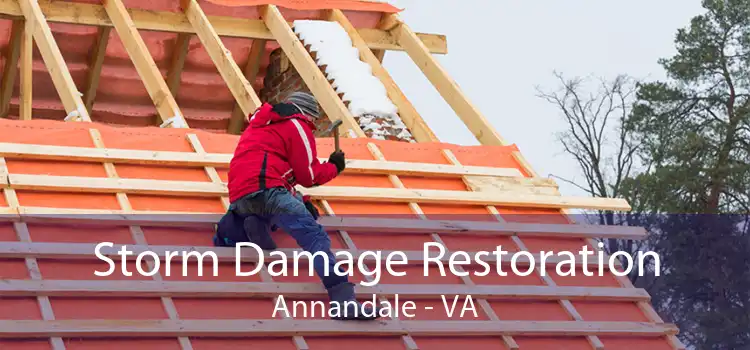 Storm Damage Restoration Annandale - VA