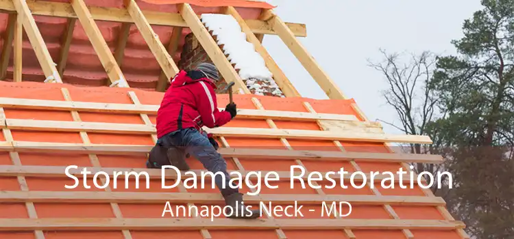 Storm Damage Restoration Annapolis Neck - MD