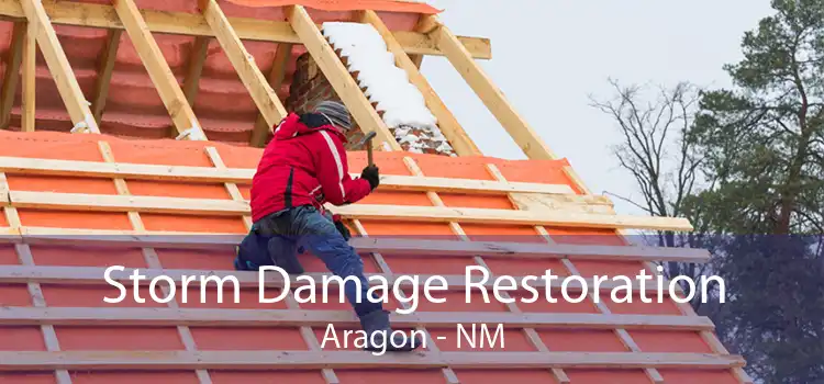 Storm Damage Restoration Aragon - NM