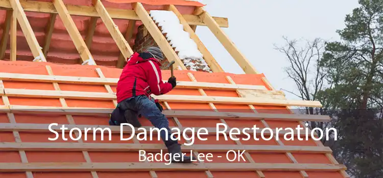 Storm Damage Restoration Badger Lee - OK