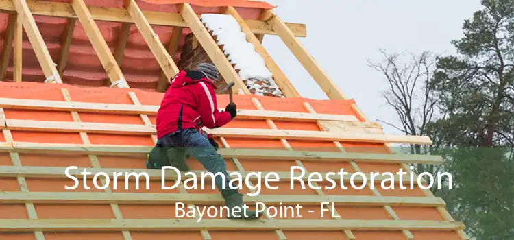 Storm Damage Restoration Bayonet Point - FL