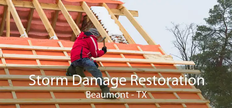 Storm Damage Restoration Beaumont - TX