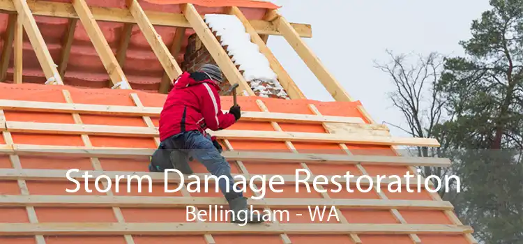 Storm Damage Restoration Bellingham - WA