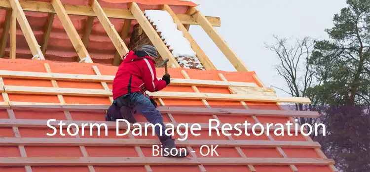 Storm Damage Restoration Bison - OK