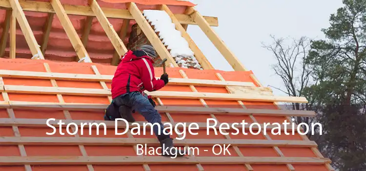 Storm Damage Restoration Blackgum - OK