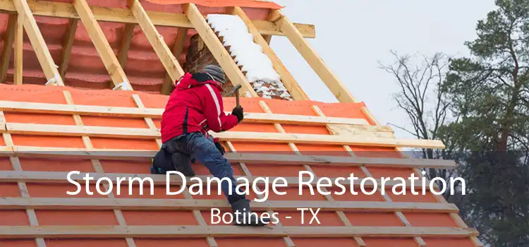 Storm Damage Restoration Botines - TX