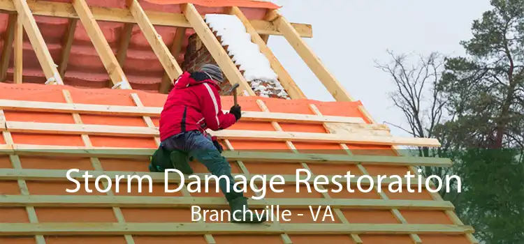 Storm Damage Restoration Branchville - VA