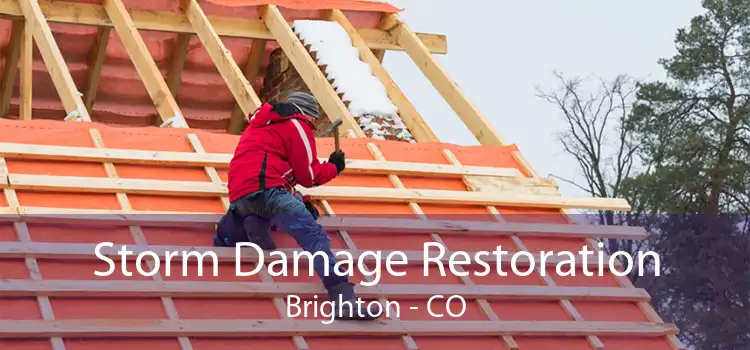 Storm Damage Restoration Brighton - CO