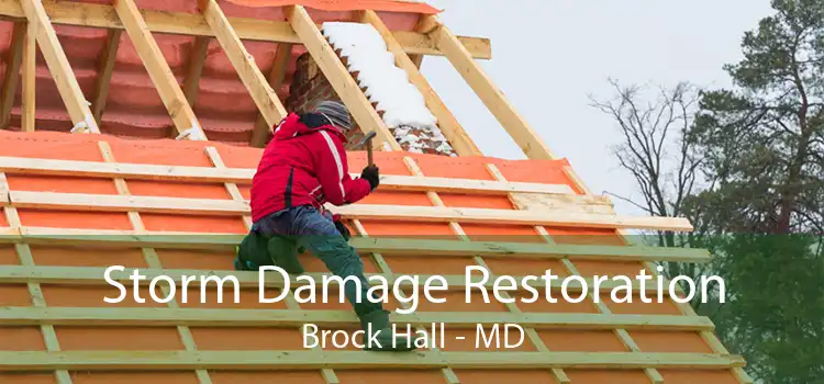 Storm Damage Restoration Brock Hall - MD