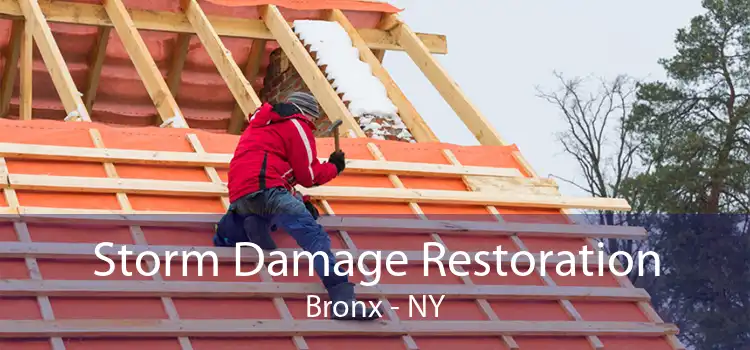 Storm Damage Restoration Bronx - NY