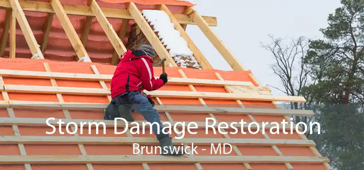 Storm Damage Restoration Brunswick - MD