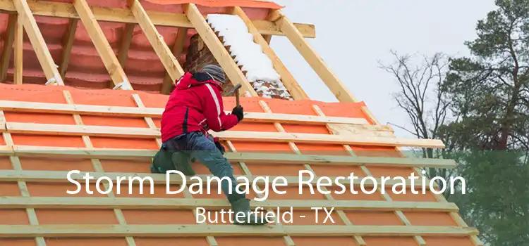 Storm Damage Restoration Butterfield - TX