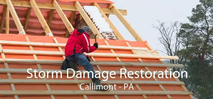 Storm Damage Restoration Callimont - PA