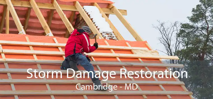 Storm Damage Restoration Cambridge - MD