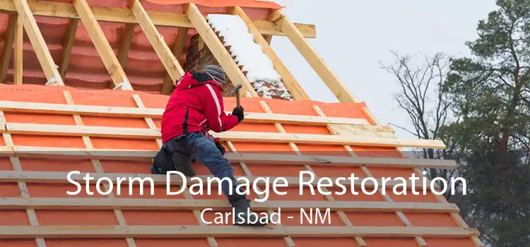 Storm Damage Restoration Carlsbad - NM