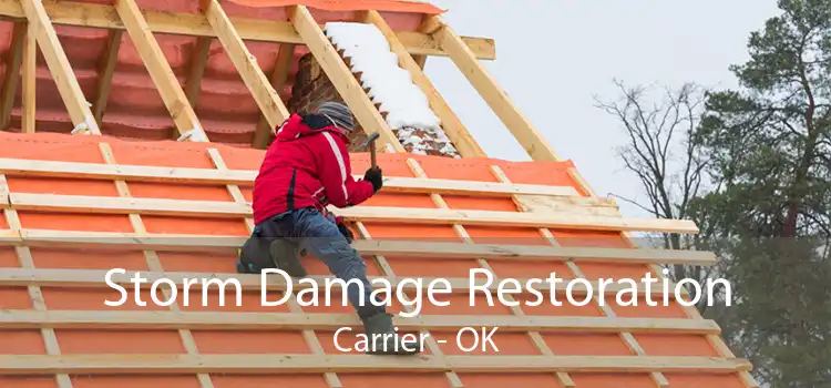 Storm Damage Restoration Carrier - OK