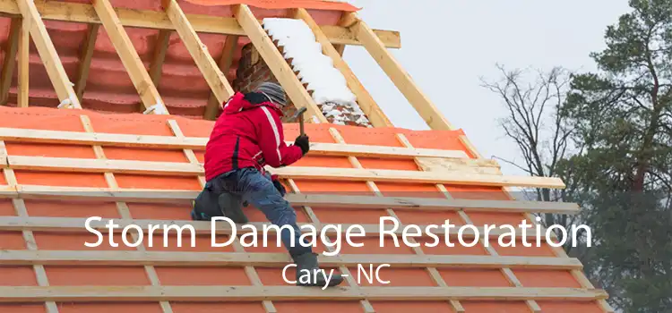 Storm Damage Restoration Cary - NC