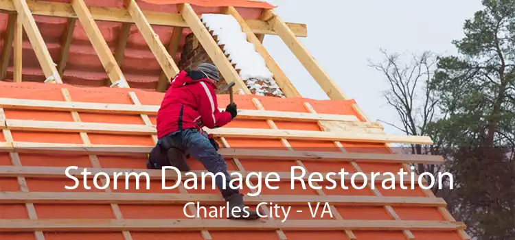 Storm Damage Restoration Charles City - VA