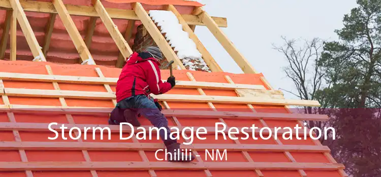 Storm Damage Restoration Chilili - NM