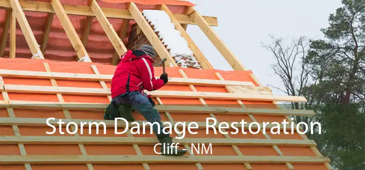 Storm Damage Restoration Cliff - NM