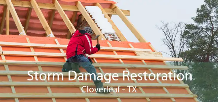 Storm Damage Restoration Cloverleaf - TX