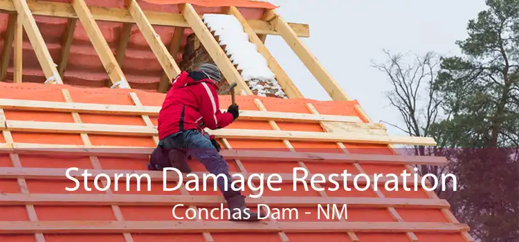 Storm Damage Restoration Conchas Dam - NM