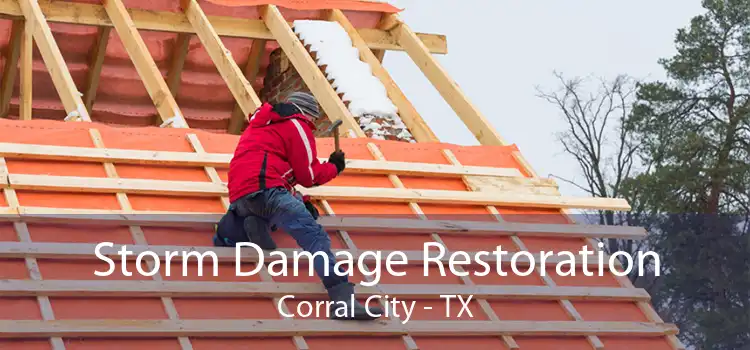 Storm Damage Restoration Corral City - TX