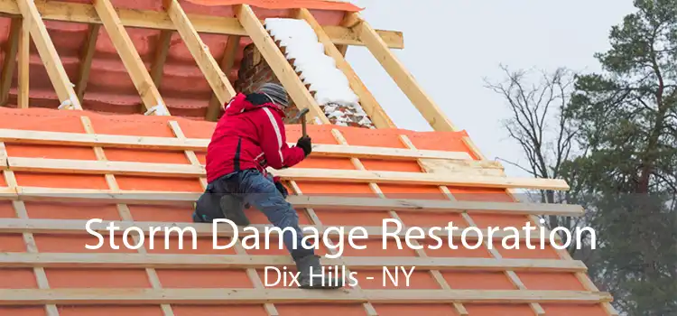 Storm Damage Restoration Dix Hills - NY