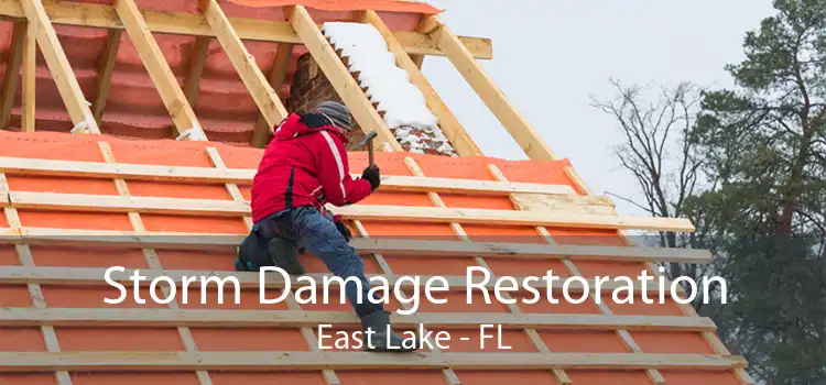 Storm Damage Restoration East Lake - FL