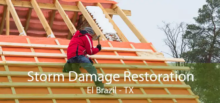 Storm Damage Restoration El Brazil - TX