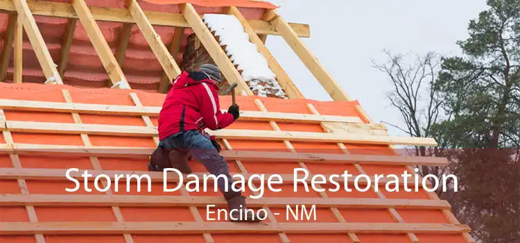 Storm Damage Restoration Encino - NM