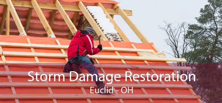 Storm Damage Restoration Euclid - OH