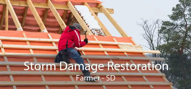 Storm Damage Restoration Farmer - SD