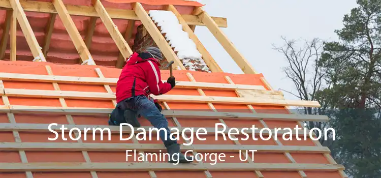 Storm Damage Restoration Flaming Gorge - UT