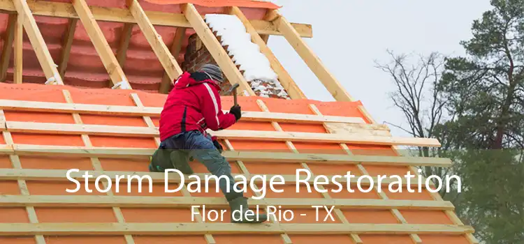 Storm Damage Restoration Flor del Rio - TX