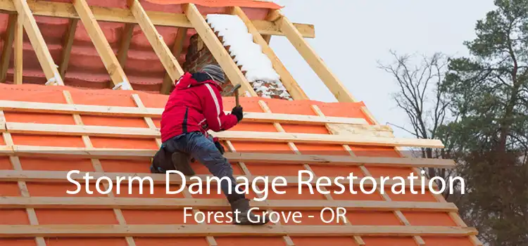 Storm Damage Restoration Forest Grove - OR