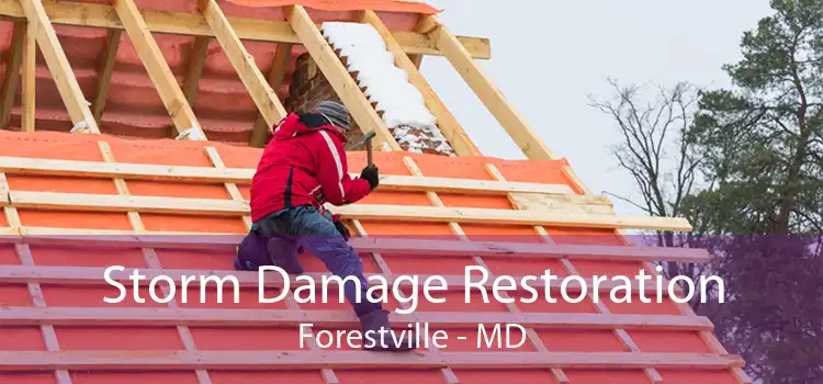 Storm Damage Restoration Forestville - MD