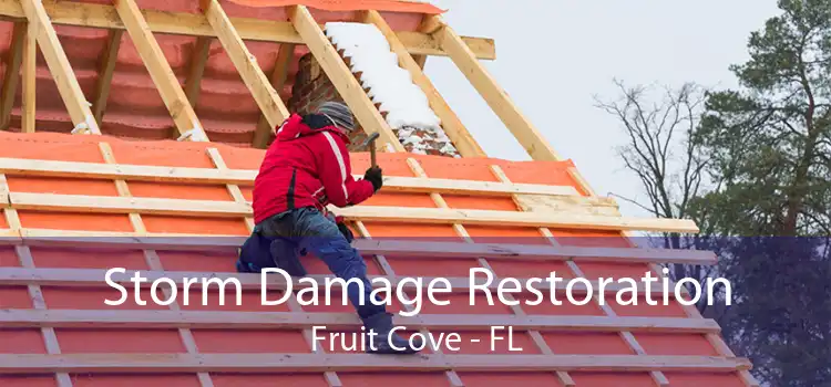 Storm Damage Restoration Fruit Cove - FL