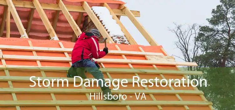 Storm Damage Restoration Hillsboro - VA