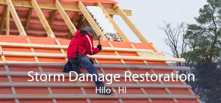 Storm Damage Restoration Hilo - HI