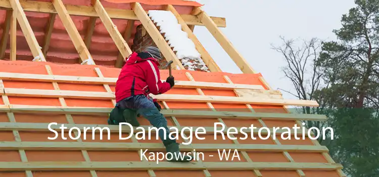 Storm Damage Restoration Kapowsin - WA